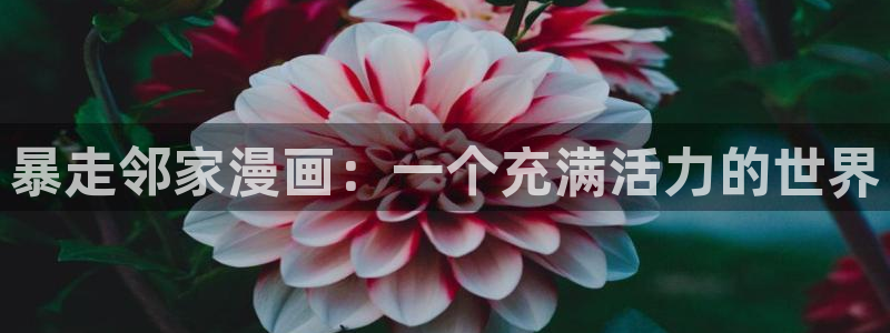 漫喵漫画下载：暴走邻家漫画：一个充满活力的世界