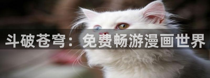 喵上二次元漫画：斗破苍穹：免费畅游漫画世界